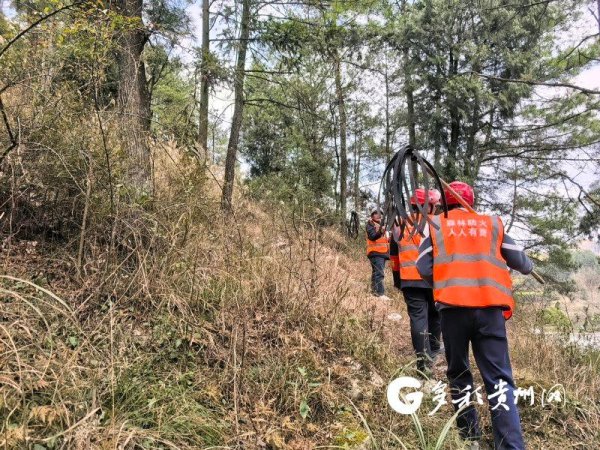 汇川区芝麻镇：统筹全域网格 守护春日山林