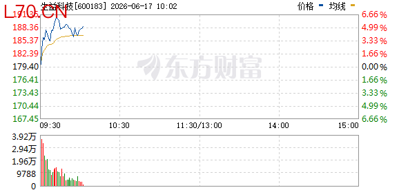 R图 600183_0