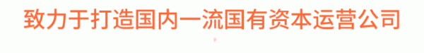 陈华军带队调研兴湘资本