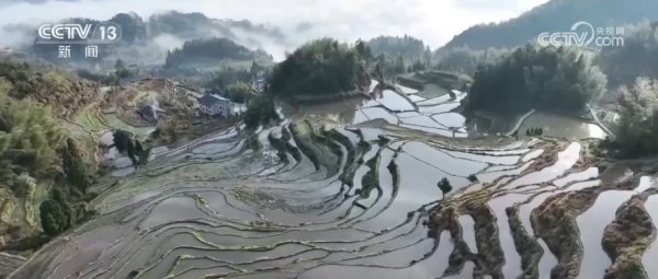 “科技+服务”护航春耕生产 为全年粮食稳产丰收筑牢根基
