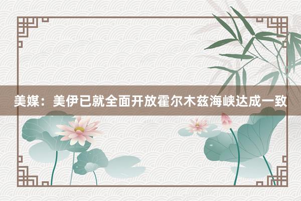 美媒：美伊已就全面开放霍尔木兹海峡达成一致