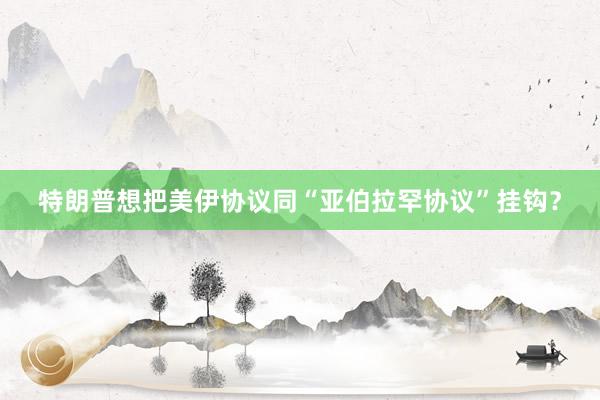 特朗普想把美伊协议同“亚伯拉罕协议”挂钩？
