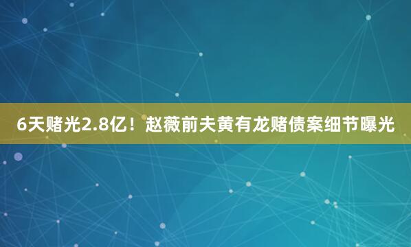 6天赌光2.8亿！赵薇前夫黄有龙赌债案细节曝光
