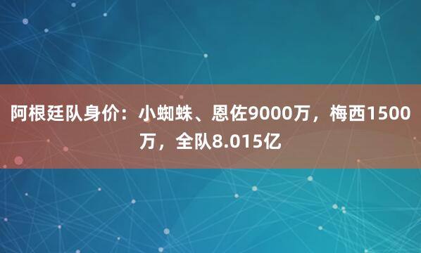 阿根廷队身价:小蜘蛛、恩佐9000万,梅西1500万,全队8.015亿