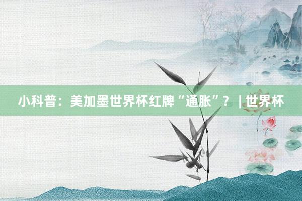 小科普：美加墨世界杯红牌“通胀”？ | 世界杯