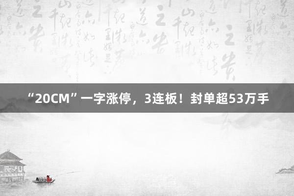 “20CM”一字涨停,3连板!封单超53万手