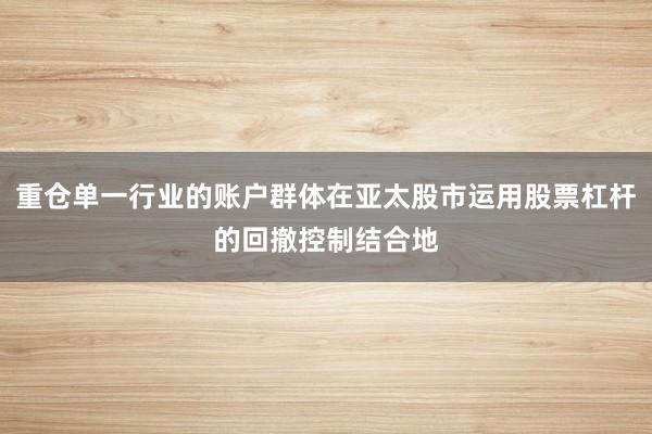重仓单一行业的账户群体在亚太股市运用股票杠杆的回撤控制结合地