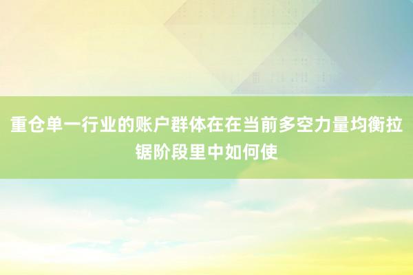 重仓单一行业的账户群体在在当前多空力量均衡拉锯阶段里中如何使