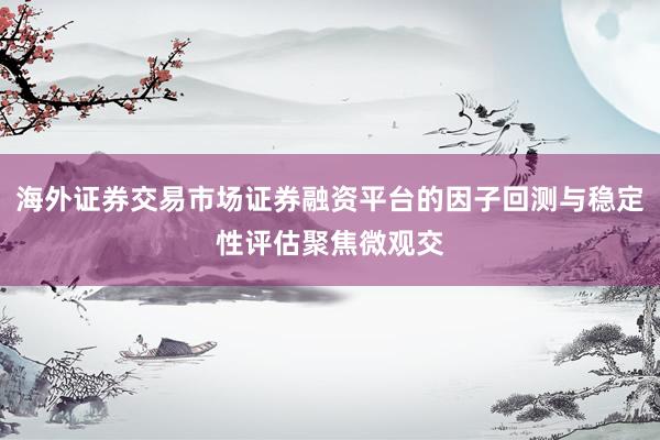 海外证券交易市场证券融资平台的因子回测与稳定性评估聚焦微观交