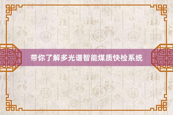 带你了解多光谱智能煤质快检系统