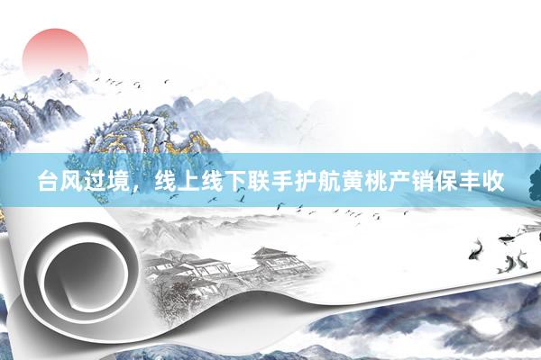 台风过境，线上线下联手护航黄桃产销保丰收