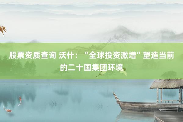 股票资质查询 沃什：“全球投资激增”塑造当前的二十国集团环境